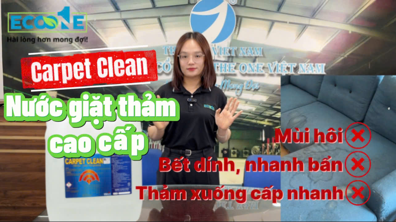 EK CARPET CLEAN – GIẢI PHÁP GIẶT THẢM CHUYÊN NGHIỆP SẠCH SÂU, KHÔNG TÁI BÁM BẨN